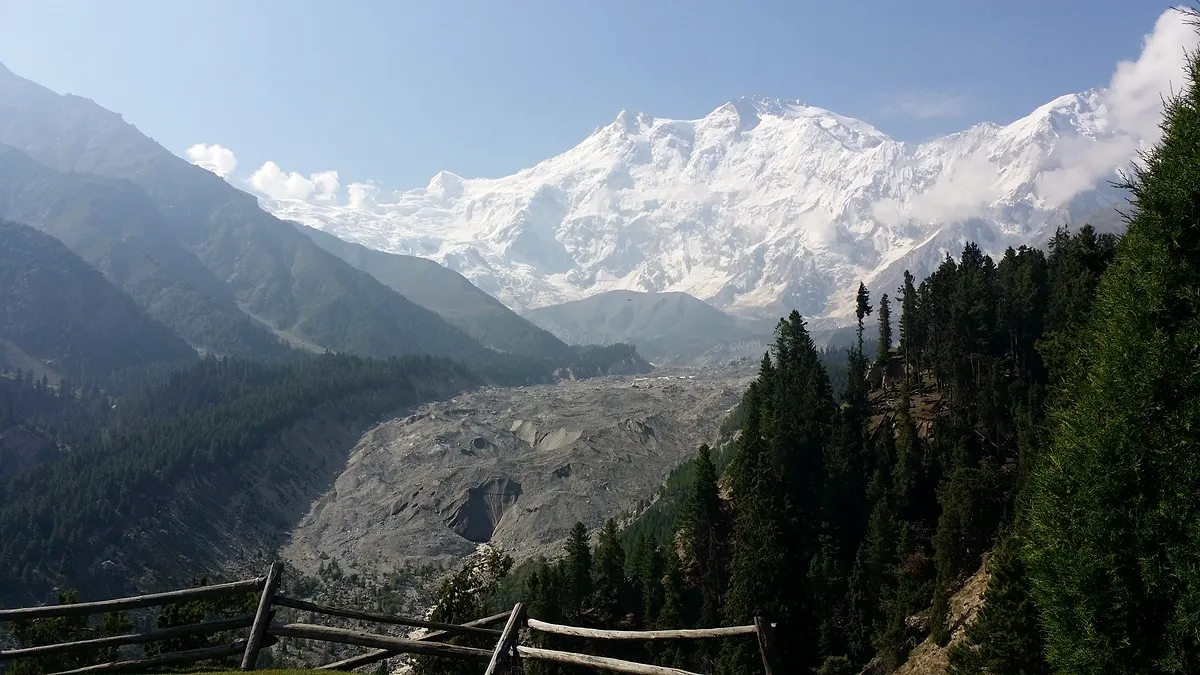 Nanga Parbat and the Rakhiot Glacier seen from the pine-edged grass of Fairy Meadows