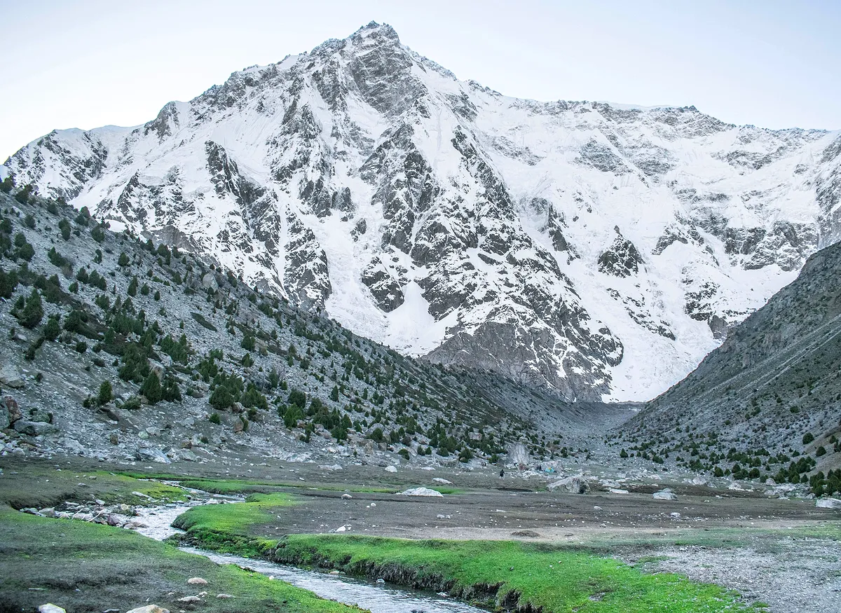 The snow and rock of Nanga Parbat's Rupal Face rising above a green valley floor and stream